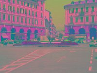 IMGP2648 edited (Medium)